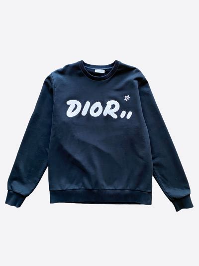 kaws x dior charm|dior x kaws sweater.